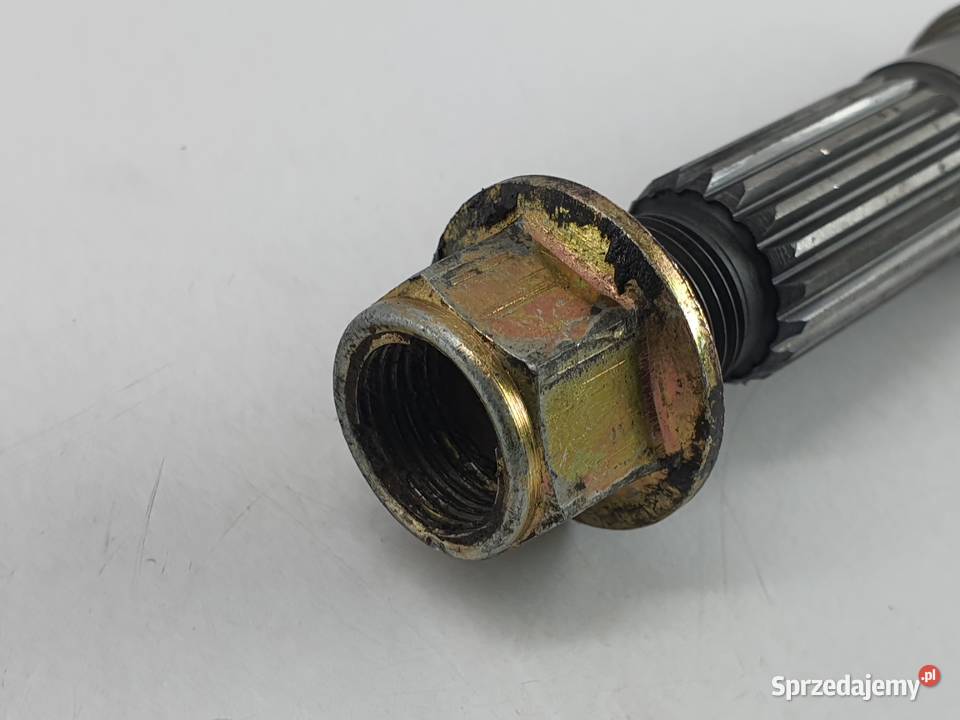 Walek Cpi Aragon Łódź