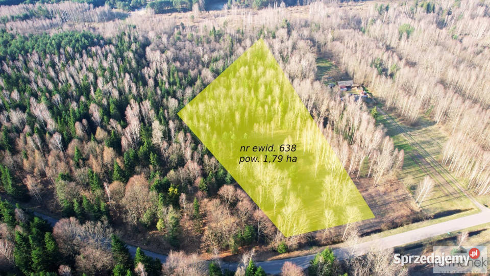 Sprzedam grunt 30288 metrów Ciosmy sprzedam