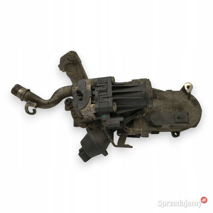ZAWÓR EGR Peugeot 308 508 3008 Citroen C4 16 HDi lubelskie