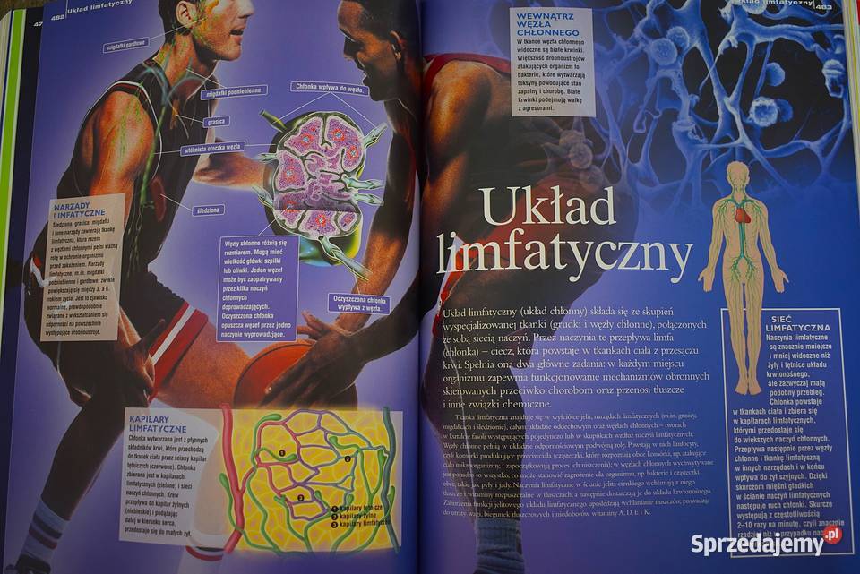 Domowa Encyklopedia Zdrowia Chełmno