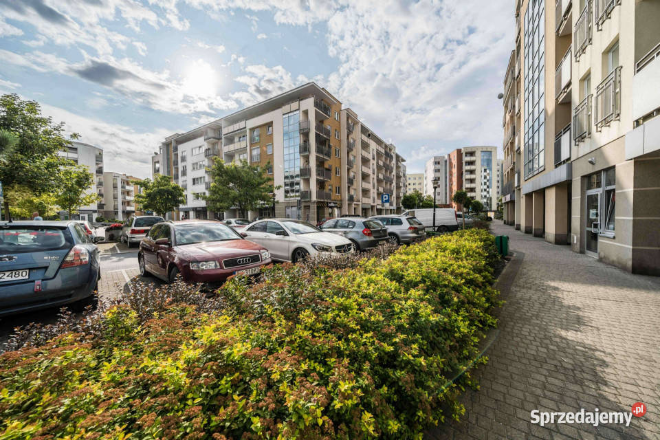 2osobne pokoje oddzielna kuchnia balkon Poznań