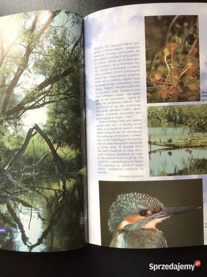 170 Gryfino Antykwariat zachodniopomorskie sprzedam