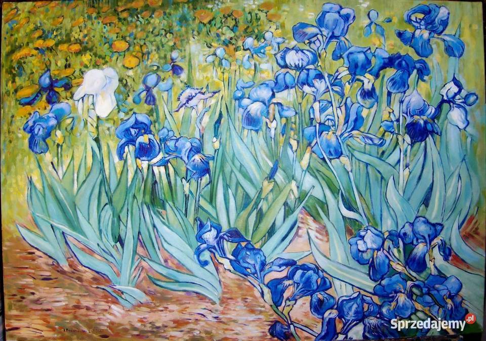 Kolekcjonerska interpretacja obrazu Vincenta van Obrazki i obrazy Toruń