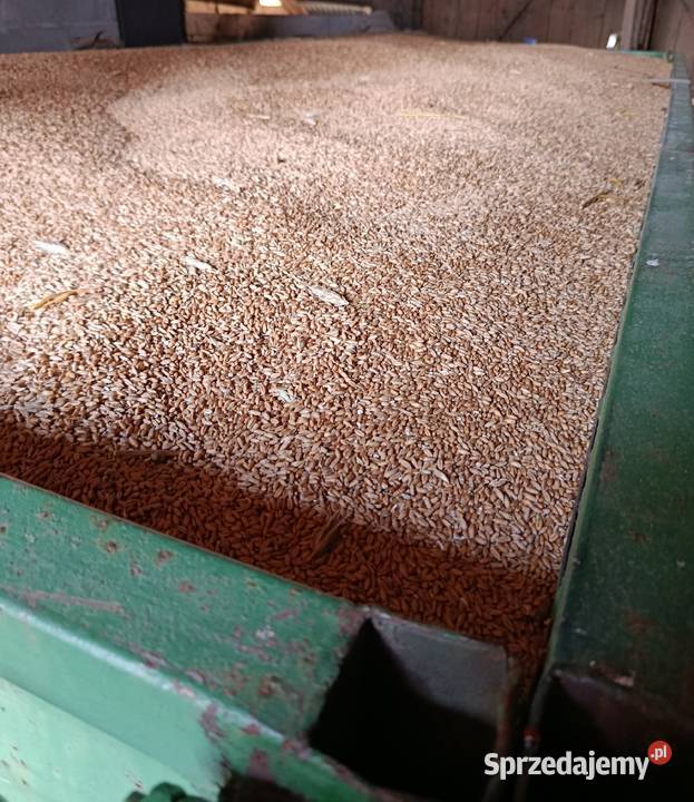 Siano słoma baloty 120x120 Wola Radziszowska