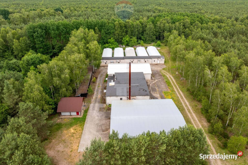 Miały budynki potencjał MPZP usługi i produkcja wielkopolskie
