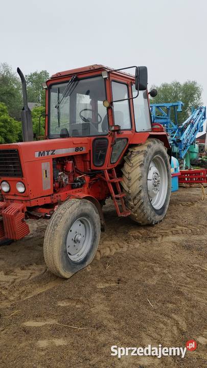 Ciągnik rolniczy Mtz 80 orbitrolpronar Belarus