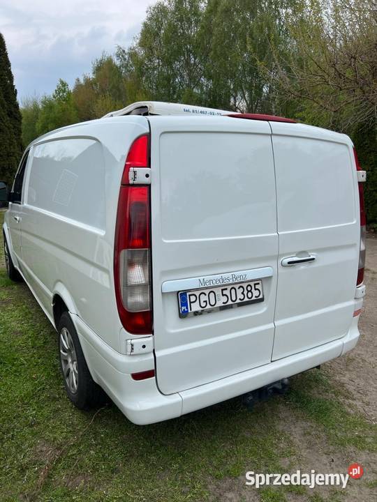 Mercedes Vito Chłodnia nieuszkodzony Samochody dostawcze Jasień
