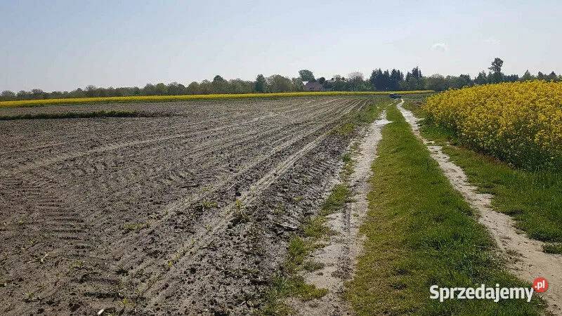 Piękna działka z warunkami zabudowy właściciela Nowosielce