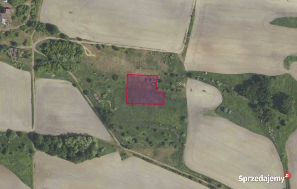 Działka 33662 w miejscowości Grabowno Wielkie