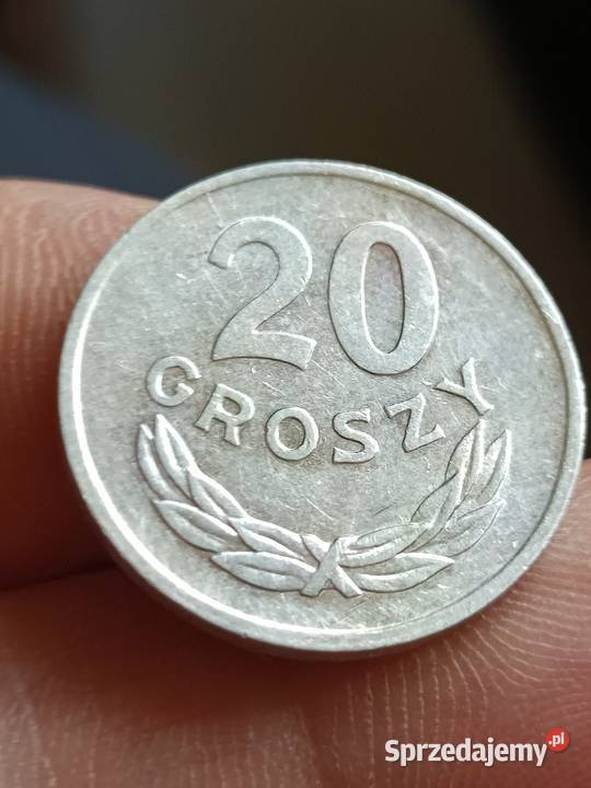 Sprzedam 20 gr 1981 r mala skretka lubelskie Chełm