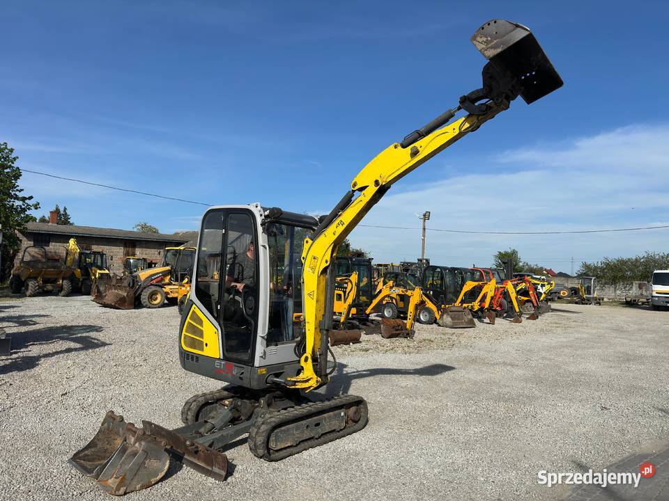 Mini koparka Wacker Neuson Et18 z 2019 Roku 3 nie Złoczew