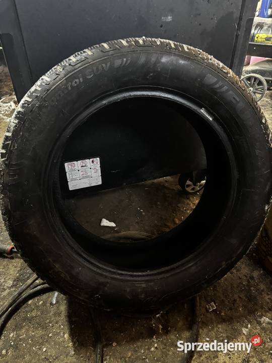 Opony wielosezonowe 2156017 Wasilków