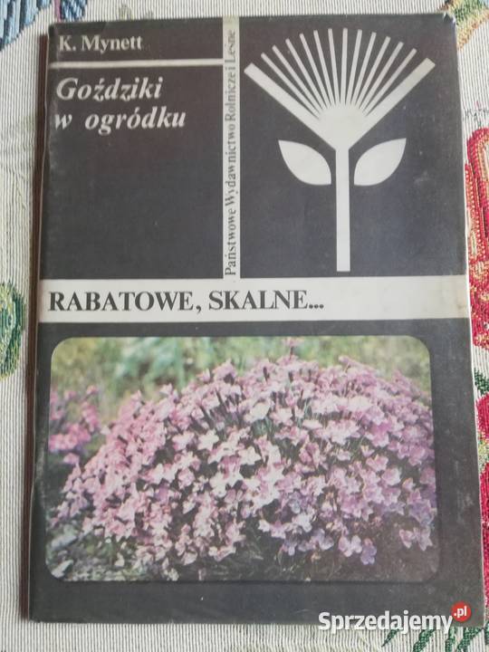 Goździki w ogródku Rabatowe skalneDocdr K Mynett Kraków
