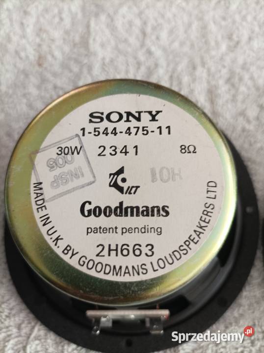 Sony Goodmans głośniki szerokopasmowe mazowieckie Płock sprzedam