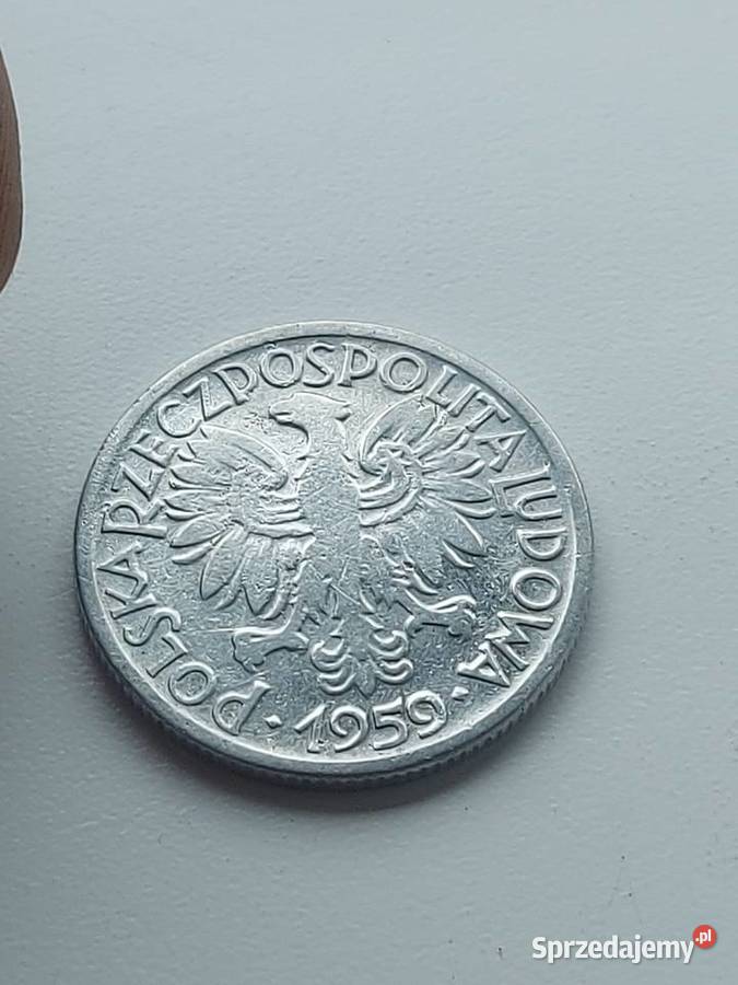 2 tak zwane jagodzianki 1959 Jelenia Góra