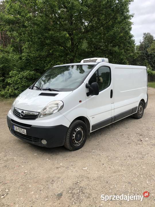 Renault traffic opel vivaro chłodnie 3 Samochody dostawcze sprzedam