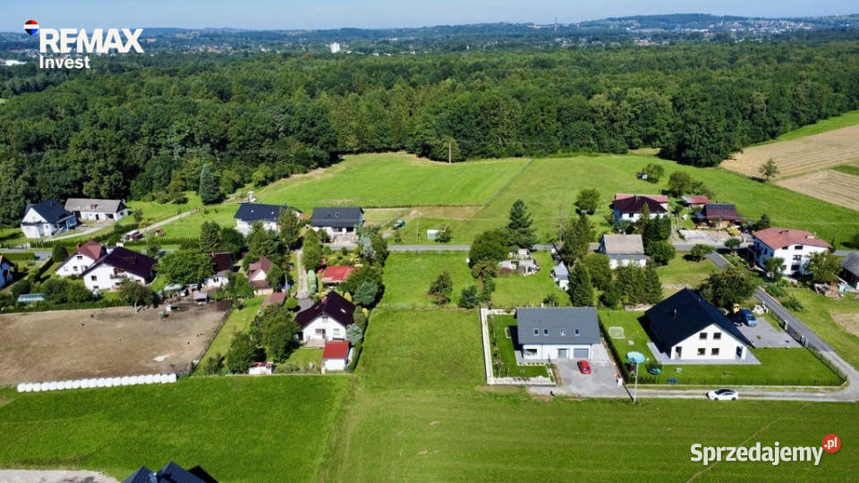 Widok na góry Spokojna okolica Górki Wielkie