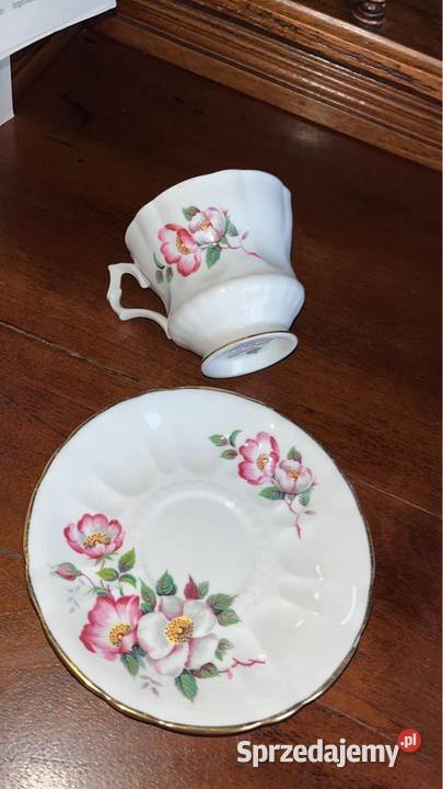 Filiżanka Royal Windsor England Alberta Wild Gdańsk sprzedam