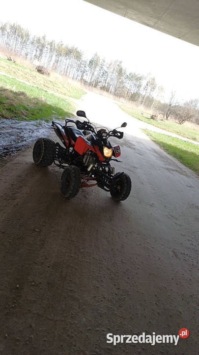 Sprzedam bashana 250 Radomsko