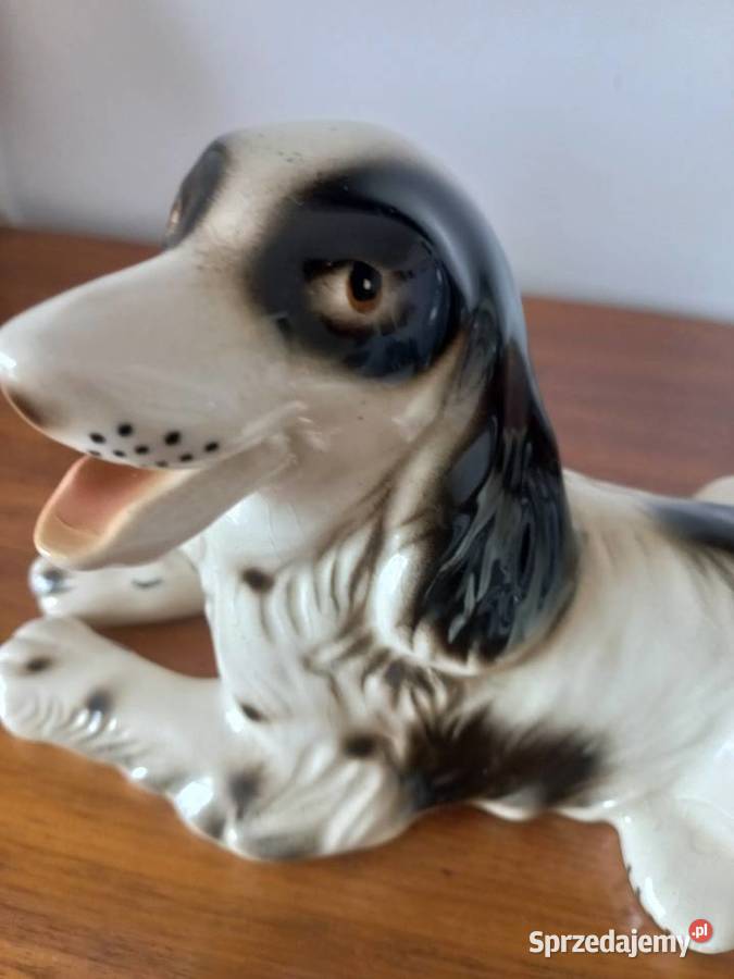 Figurka ceramiczna pies Spaniel Figurki i rzeźby Toruń sprzedam