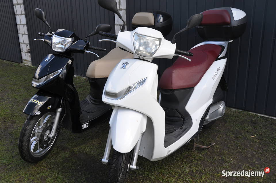 Pegasus 125 tgb sym kymco yamaha honda Frampol