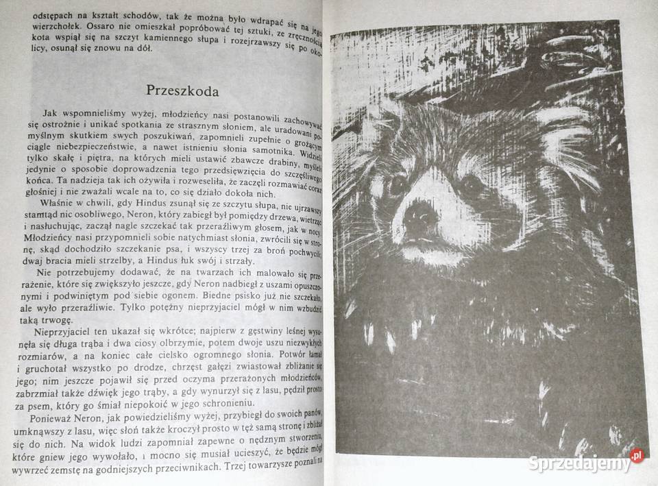 Dolina bez wyjścia Thomas Mayne Reid lubelskie Chełm