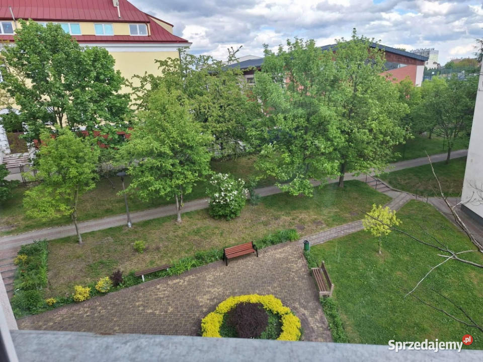 Bezpośrednio jasne 2 pokoje z balkonem Kielce