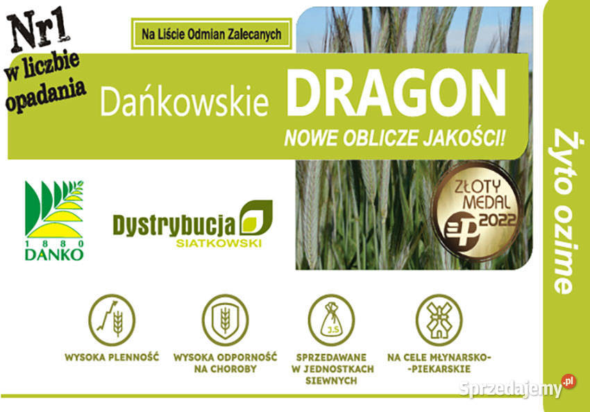 Kwalifikowane nasiona siewne żyto Dańkowskie Pozostałe Strubno sprzedam