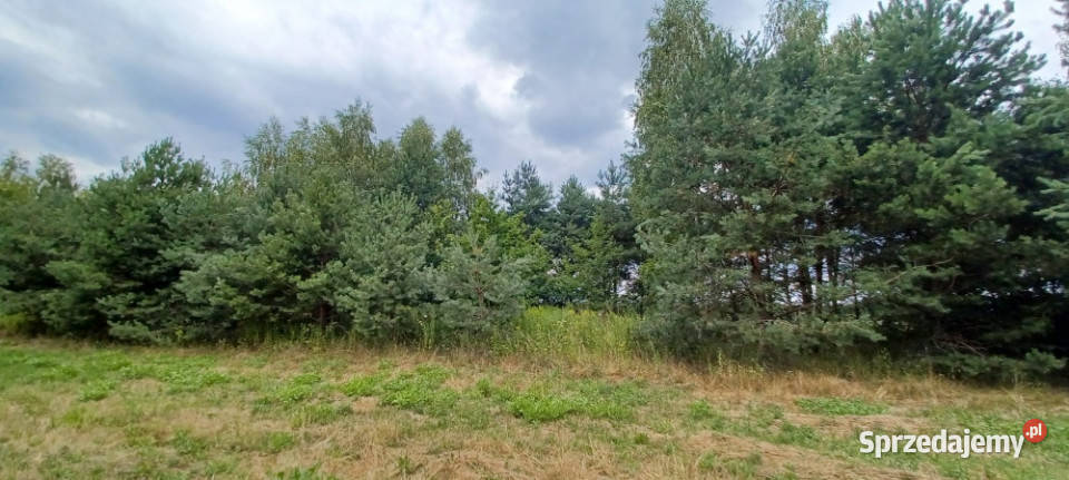 WarszawaRaszynTarczyn Posiadłość 2 ha z Rok budowy 1989 Tarczyn sprzedam