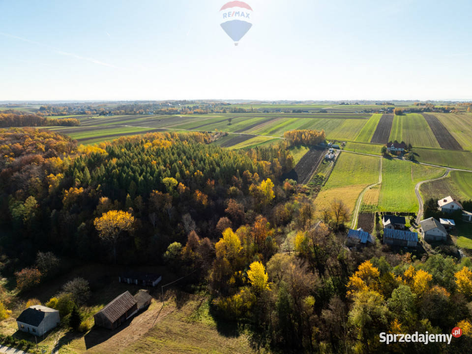 Działka z bijącym źródłem i kawałkiem lasu Stoki