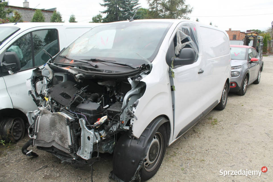 Peugeot Expert Peugeot wielkopolskie