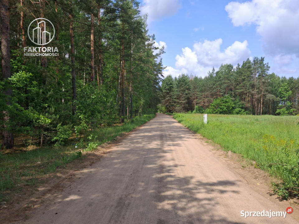 sprzedaży działki 3048m2 Karakule prąd