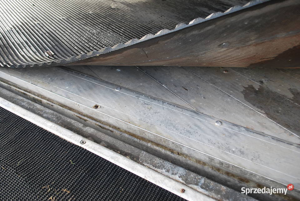 IFOR WILLIAMS PRZYCZEPA DO PRZEWOZU 2 DUŻYCH mazowieckie Grzebowilk