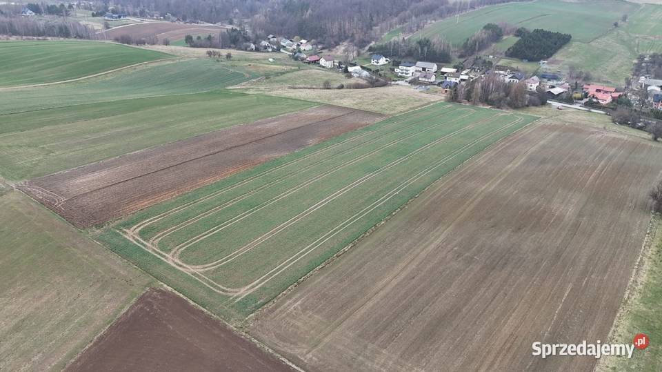 Piękna działkaMinoga Minoga