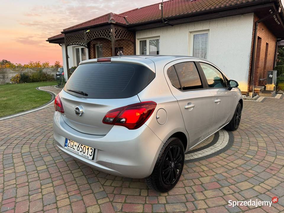 POLSKI SALON NIEWIELKI PRZEBIEG BEZWYPADKOWY