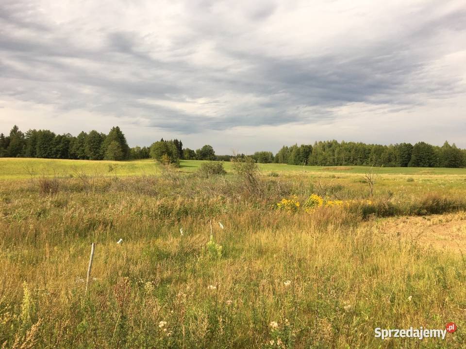 Działka rolna siedliskowa Olszanka
