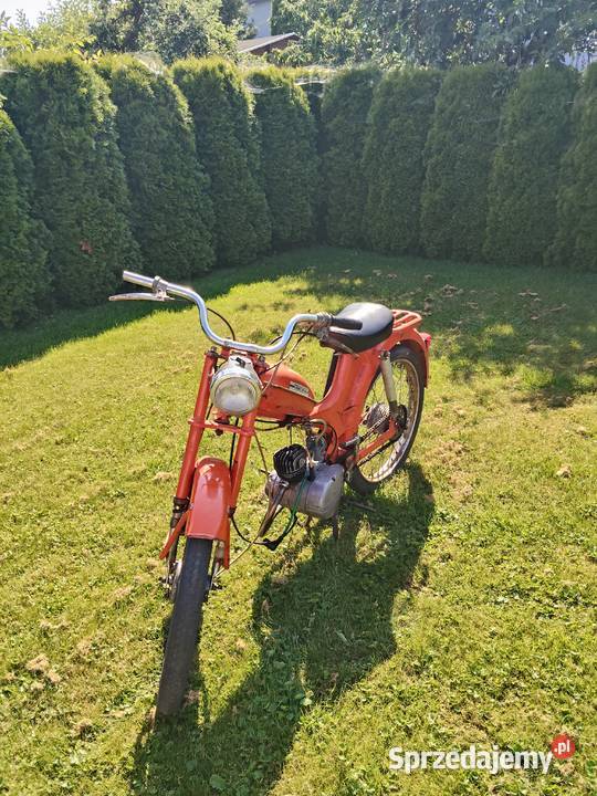 Sprzedam komar