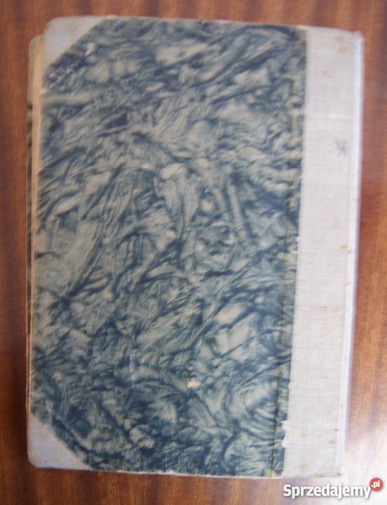 Józef Ignacy Kraszewski Dziecię Starego Miasta lubelskie Parczew sprzedam