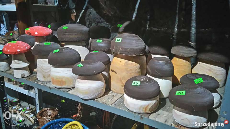 Grzybki z drewna Łupowo