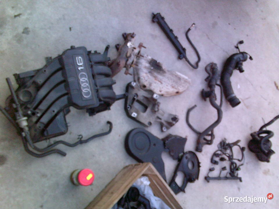 audi a3 8p golf 16 mpi BGU BSE Rok produkcji 2003 Kiełczewice Dolne