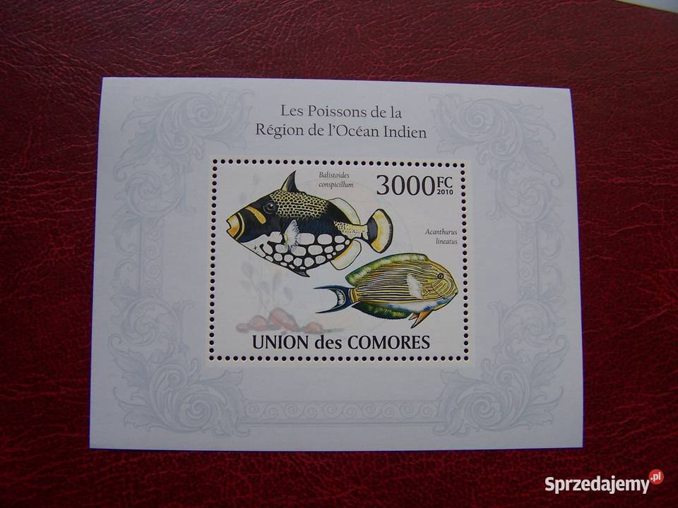 Komory 2010 MNH Fauna Ryby Oceanu Indyjskiego śląskie Tychy