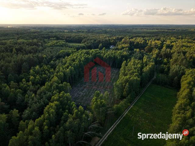 Działka 900m2 Czarna Sędziszowska sprzedam