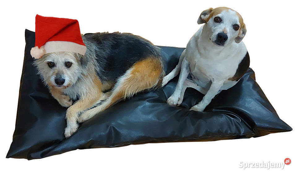 Legowisko psa kota WYMIAR 115 x 60 pokrowiec Pozostałe Pozostałe Olsztyn