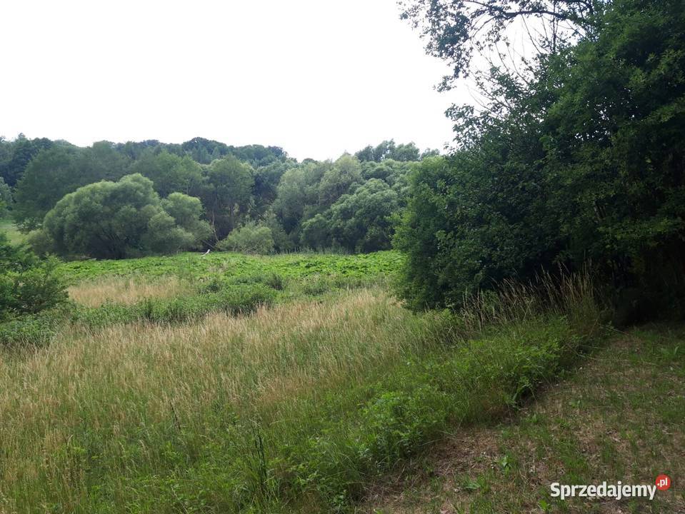 Działka budowlana Sprzedaż zachodniopomorskie