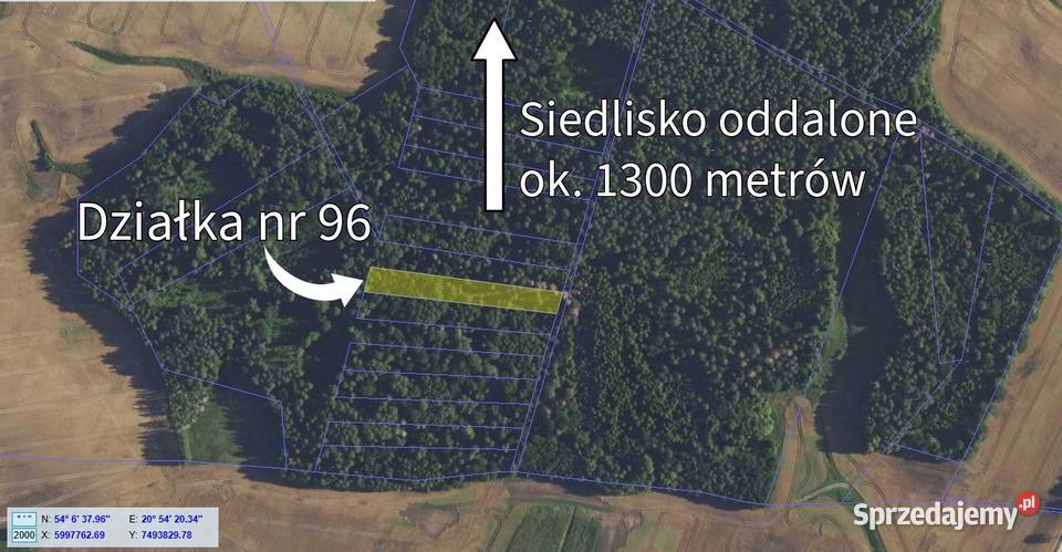 Siedlisko w otoczeniu natury 35 ha las Warmiany Sprzedaż warmińsko-mazurskie
