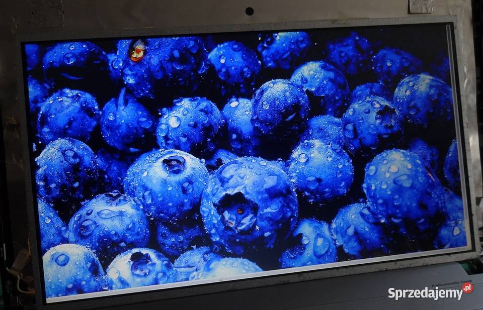 Matryca do laptopa LG LP156WH4 TLC1 Pozostałe Szczecin