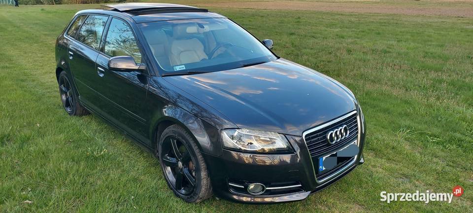 Audi A3 Sportback lift 2010 Widawa