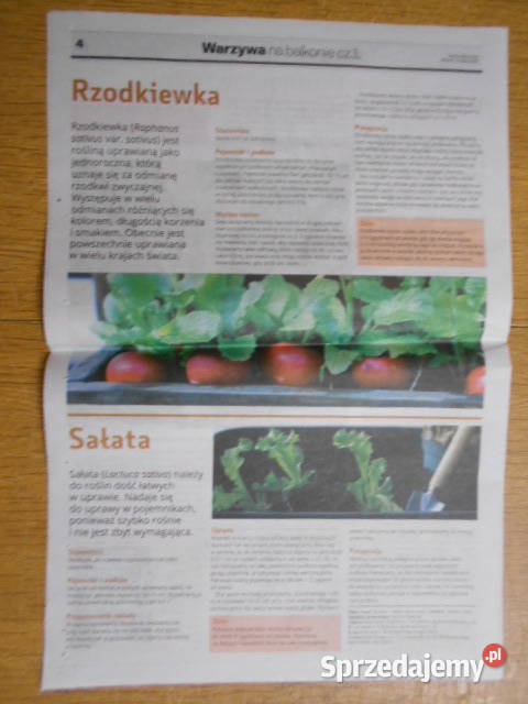 Warzywa i zioła na balkonie 2 części Gazeta Parczew