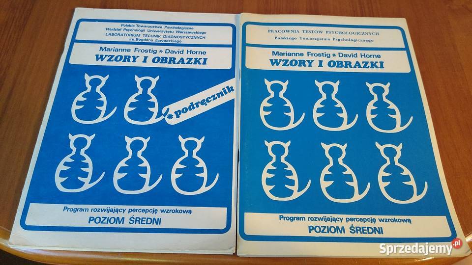 Wzory i obrazki program rozwijający percepcję Gdańsk