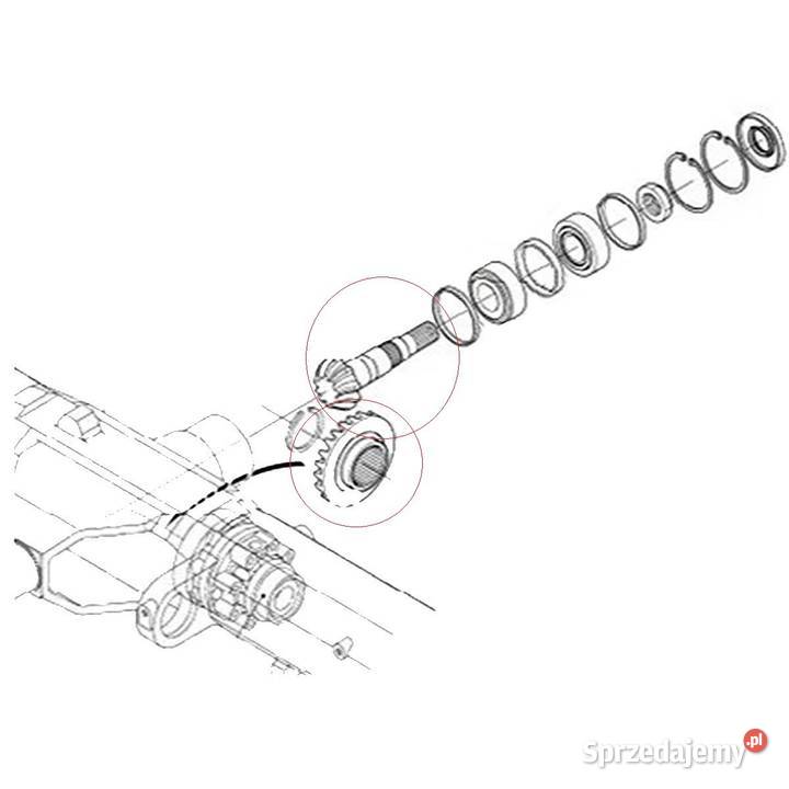 Koło talerzowe 20T23T120 mm wałek atakujący podkarpackie Tajęcina